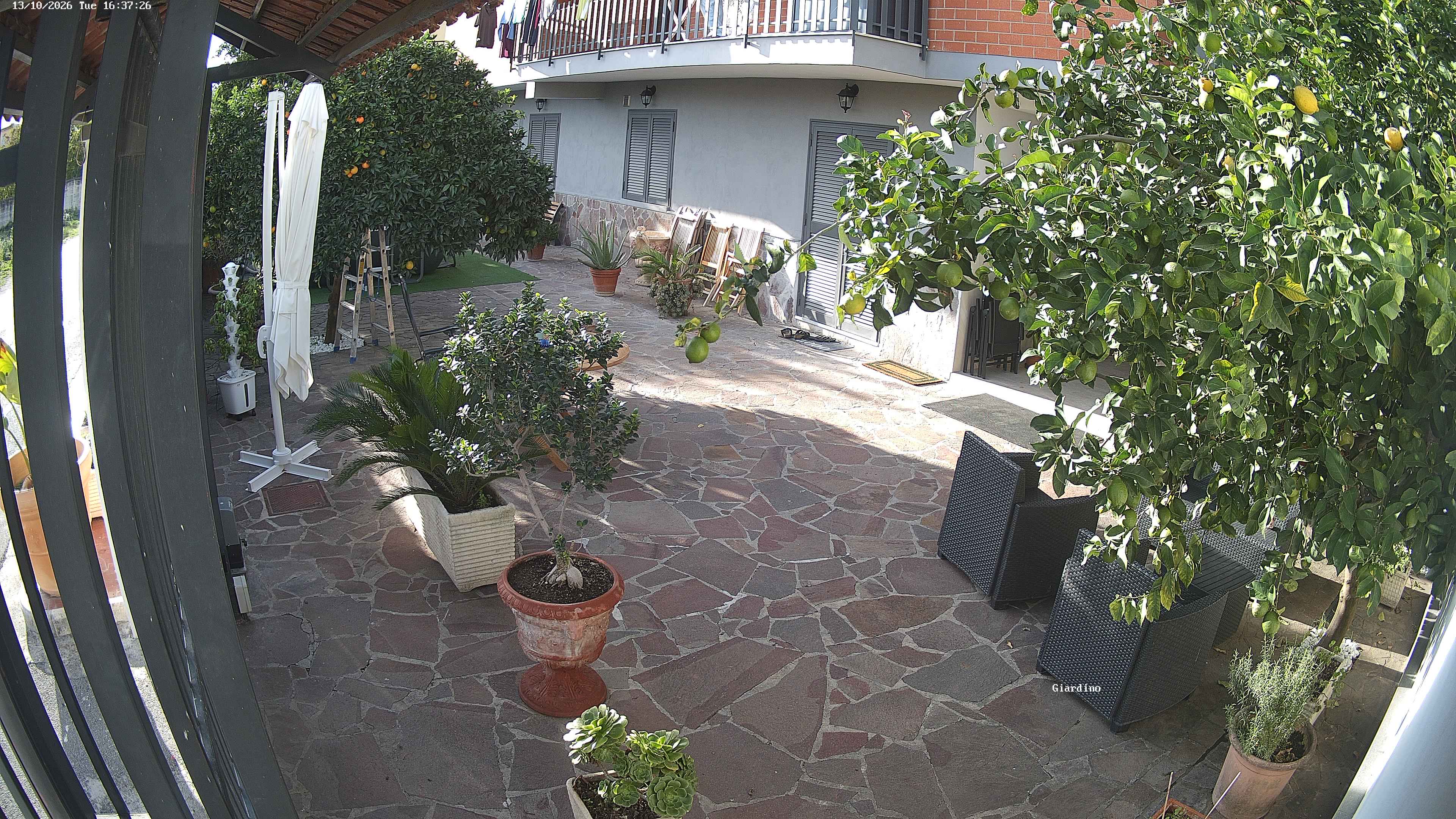 Cam1