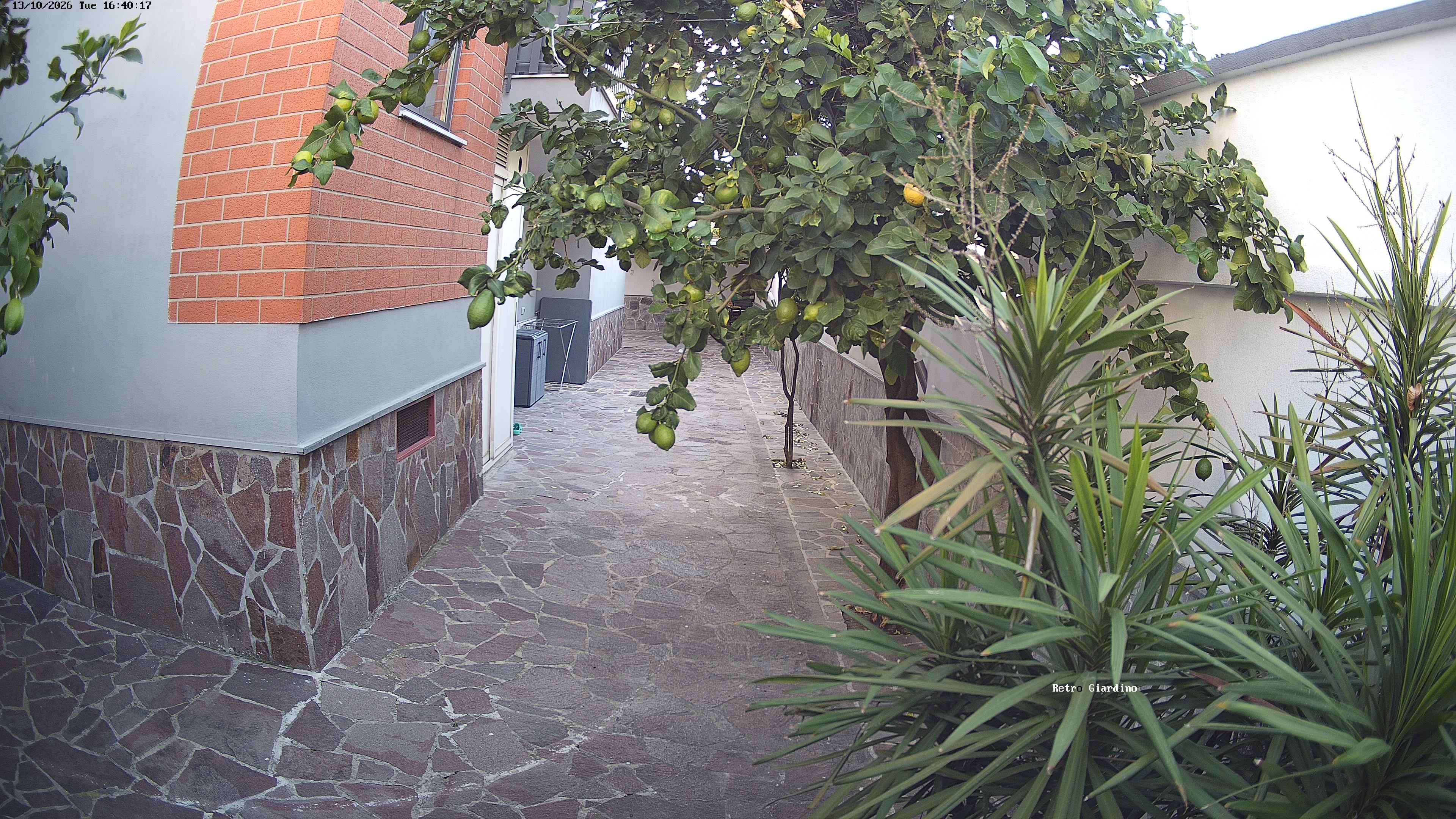 Cam2